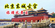 大黑吊日美女。中国北京-东城古宫旅游风景区
